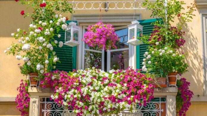 Avviso per la partecipazione all’iniziativa ” BALCONE FIORITO”